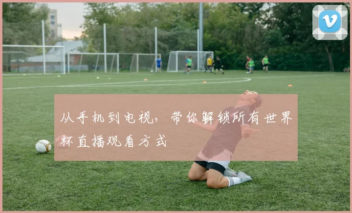 从手机到电视，带你解锁所有世界杯直播观看方式