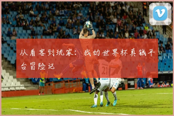 从看客到玩家：我的世界杯真钱平台冒险记