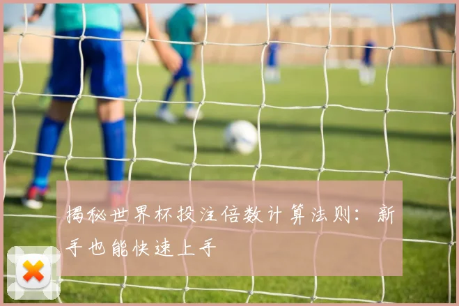 揭秘世界杯投注倍数计算法则：新手也能快速上手