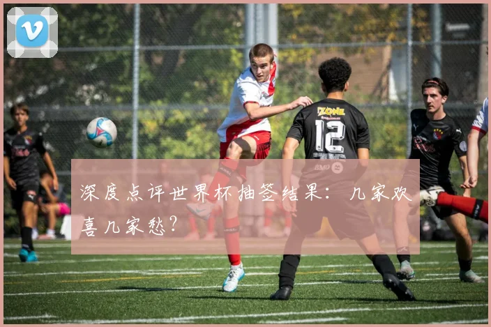 深度点评世界杯抽签结果：几家欢喜几家愁？
