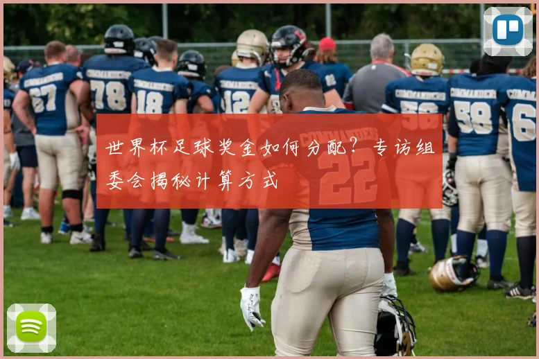 世界杯足球奖金如何分配？专访组委会揭秘计算方式