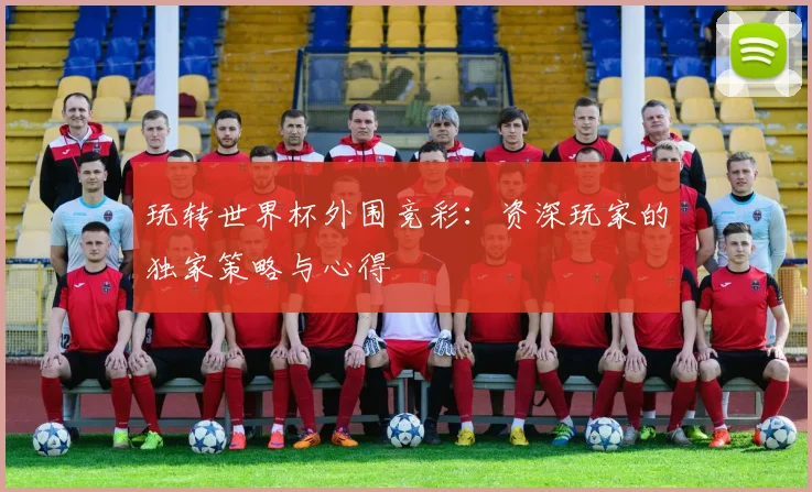 玩转世界杯外围竞彩：资深玩家的独家策略与心得
