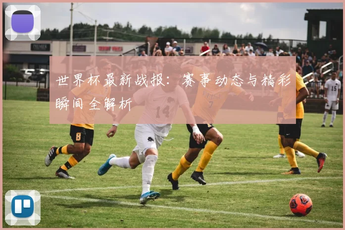 世界杯最新战报：赛事动态与精彩瞬间全解析