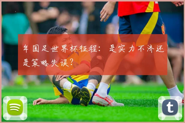 年国足世界杯征程：是实力不济还是策略失误？