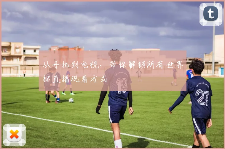 从手机到电视，带你解锁所有世界杯直播观看方式