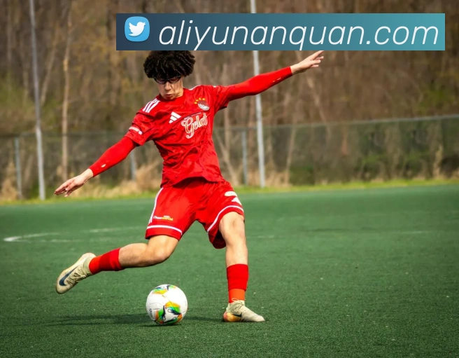 ayx官网登录入口平台生态图