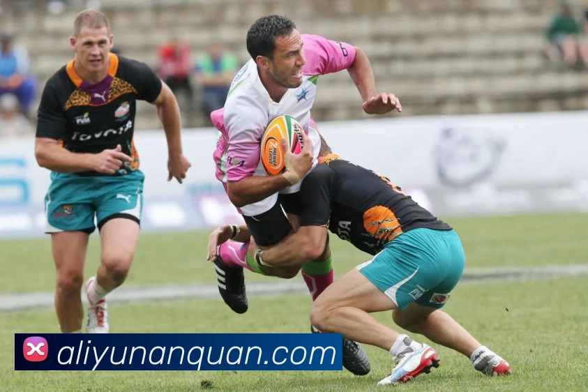 ayx官网登录入口全站App